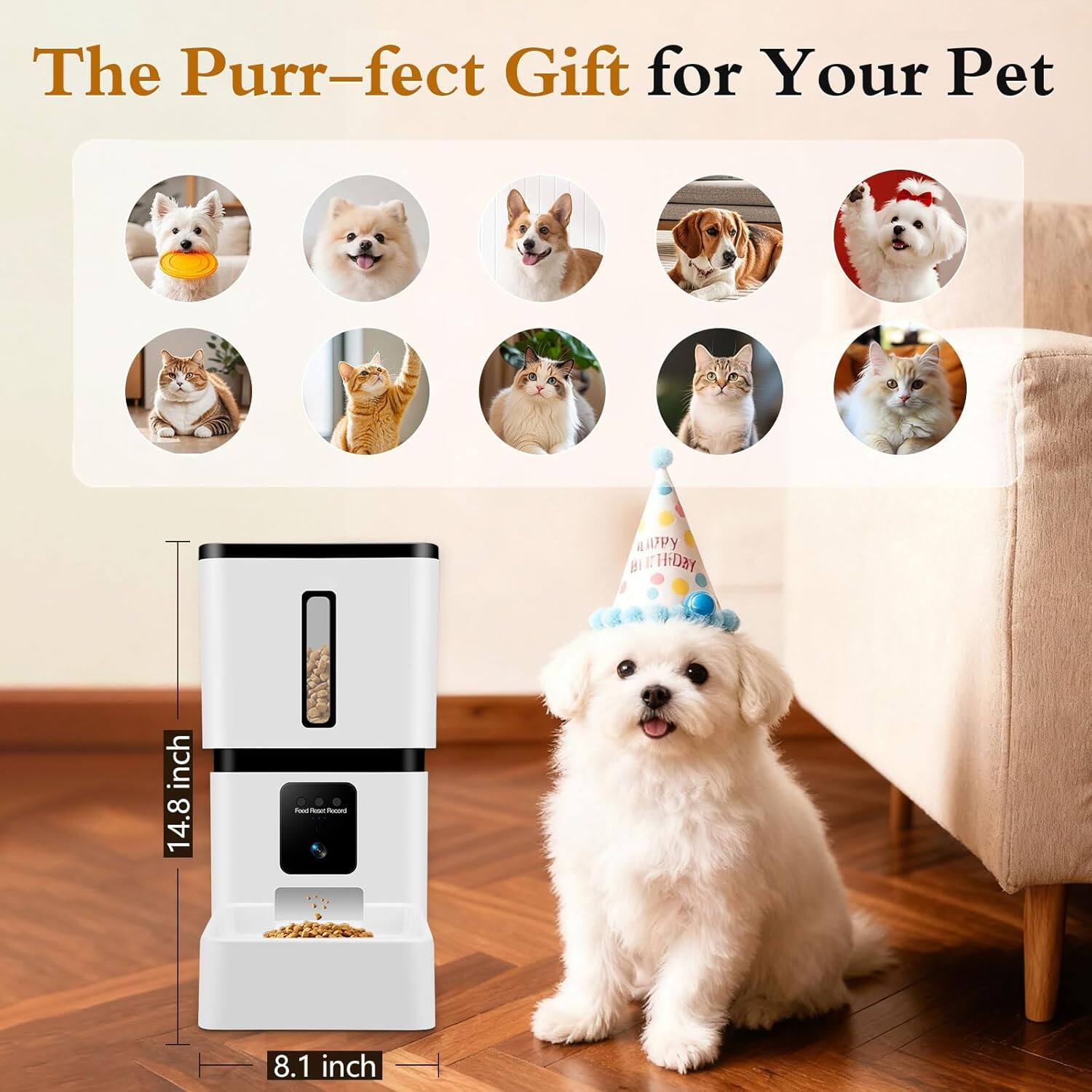 The Purr-fect Gift for Your Pet

14.8 inch

8.1 inch