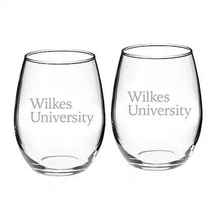 Wilkes University
Wilkes University