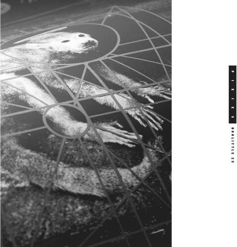 The Pixies - Doolittle 25: B-Sides Peel Sessions & Demos   - COMPACT DISCS [CD] price history on PriceWatchPro