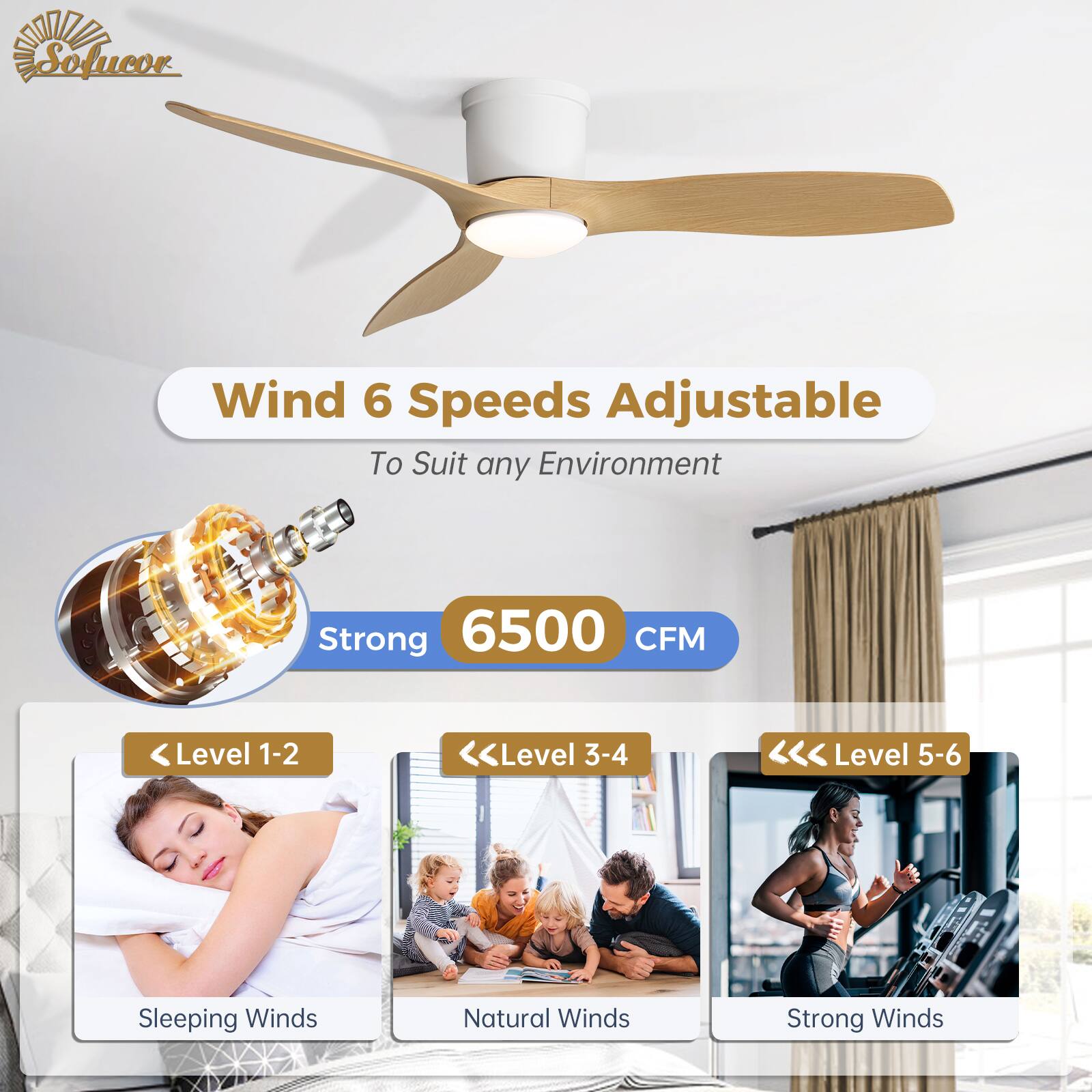 Sofucor

Wind 6 Speeds Adjustable  
To Suit any Environment

Strong 6500 CFM

Level 1-2: Sleeping Winds  
Level 3-4: Natural Winds  
Level 5-6: Strong Winds