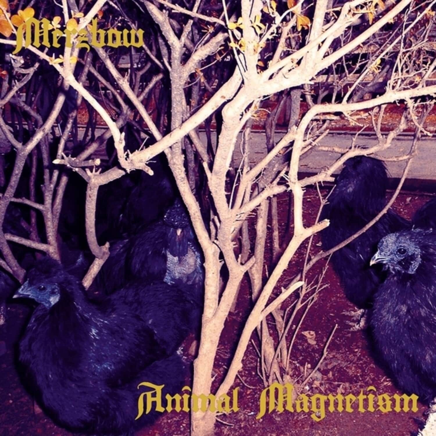 Merzbow - Animal Magnetism   - VINYL LP price history on PriceWatchPro