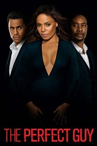 The Perfect Guy  - DVD