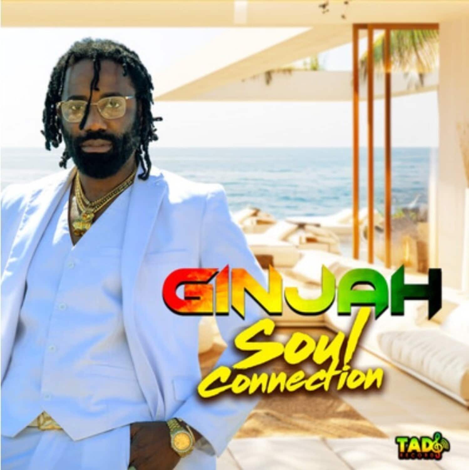 Ginjah - Soul Connection   - COMPACT DISCS [CD] price history on PriceWatchPro