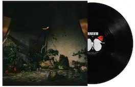 The Plot in You - The Plot In You - VINYL LP