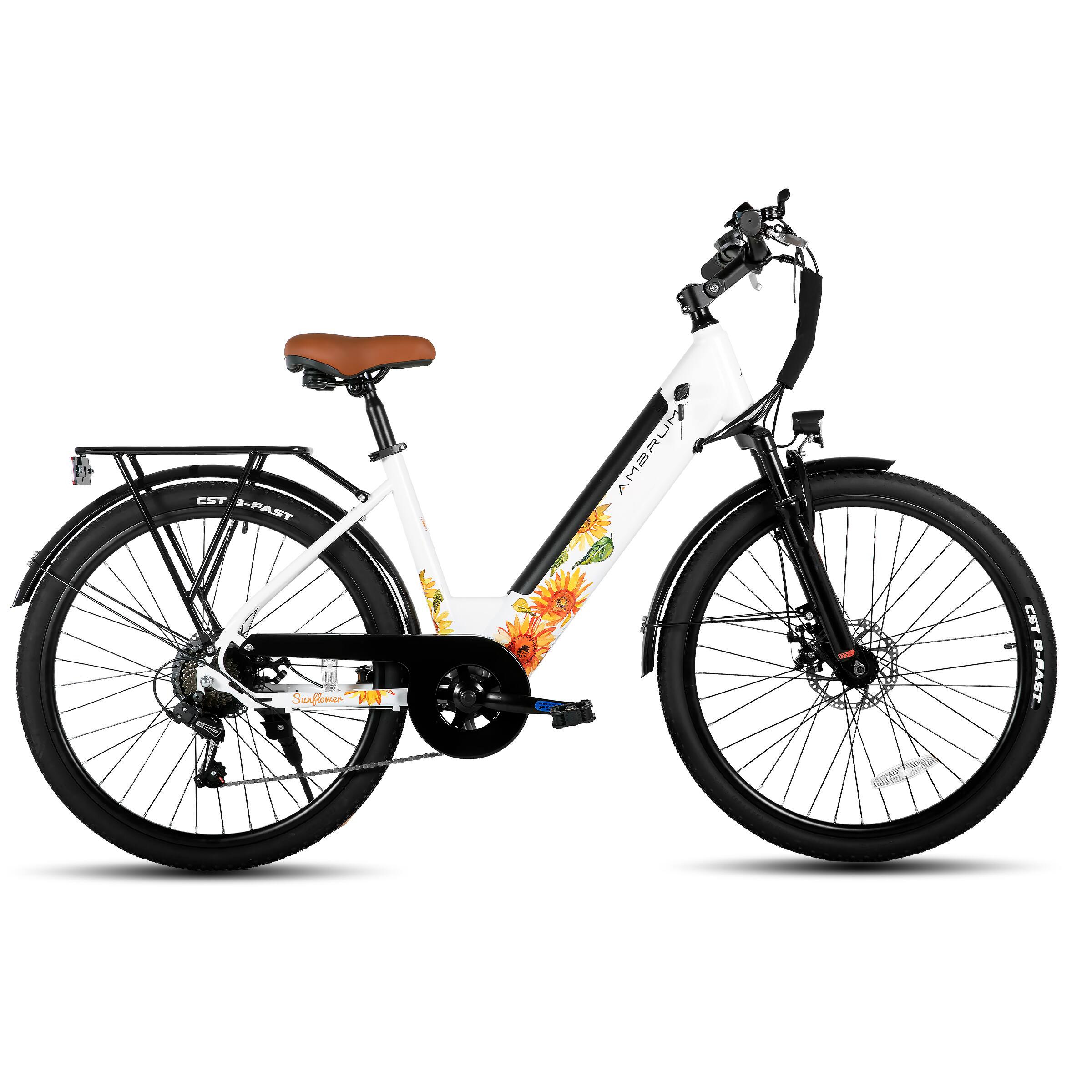 CST S-FAST  
Sanflamer  
AMBRUM CST B-FAST
