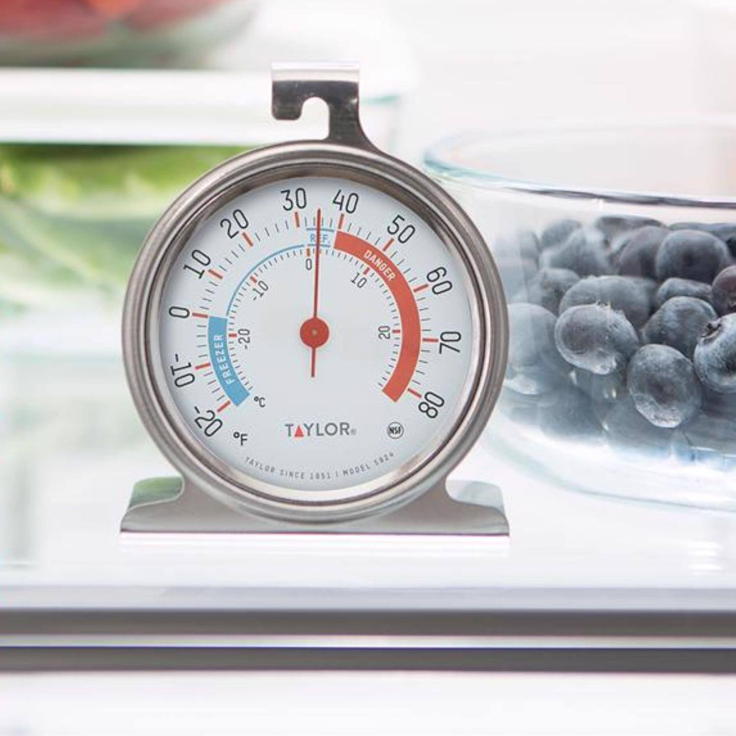 30 40 20 R F 50 10 0 10 DANGER 60 10 O -20 20 70 -10 FREEZER &C 80 -20 oF TAYLOR NSA TAYLOR 5920 SINCE 1851 MODEL