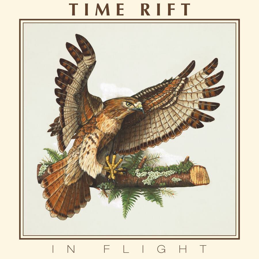 Time Rift In Flight VINYL LP - Best Buy
