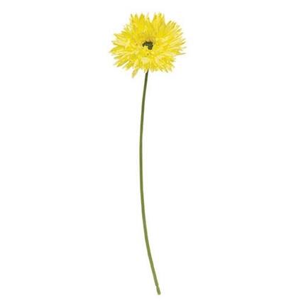 Front. BreeBe - *Gerbera Daisy Stem Lemon Yellow - Yellow.