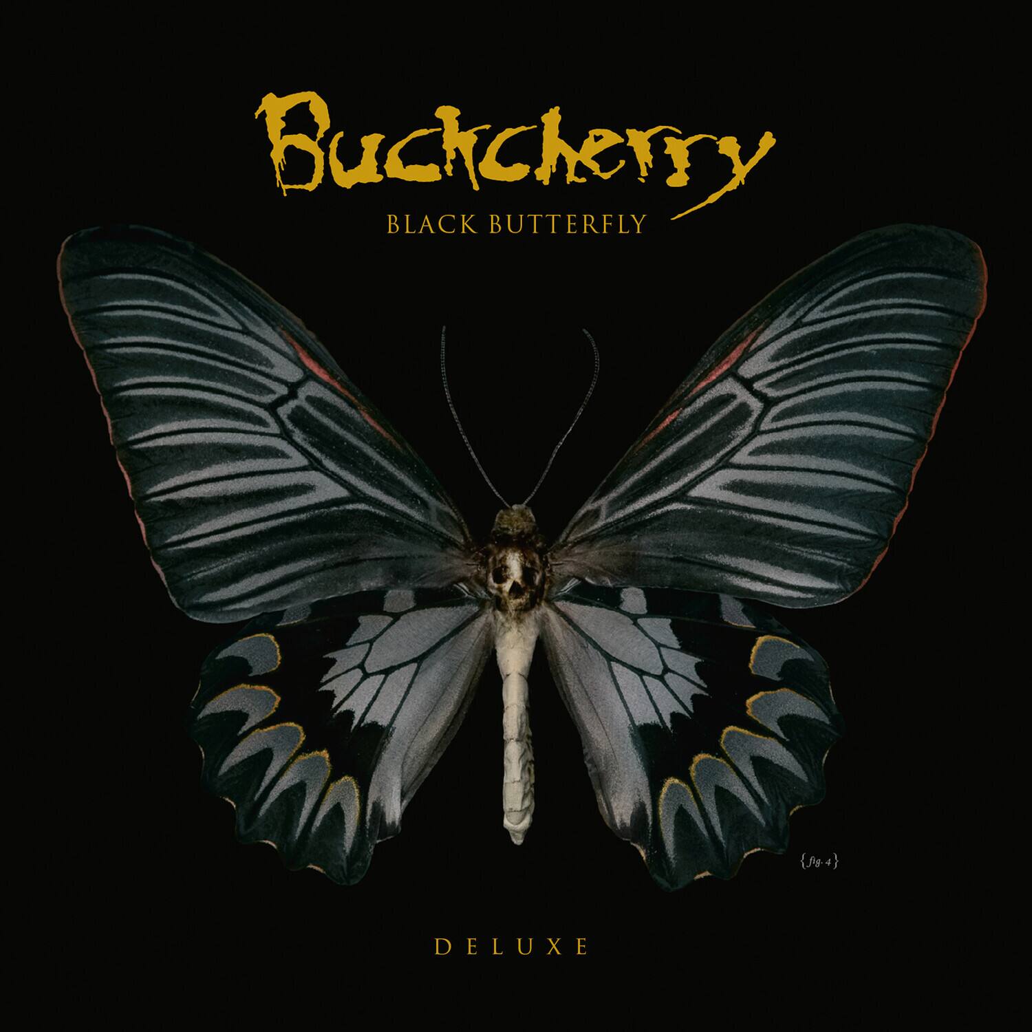 Buckcherry  
BLACK BUTTERFLY  
DELUXE