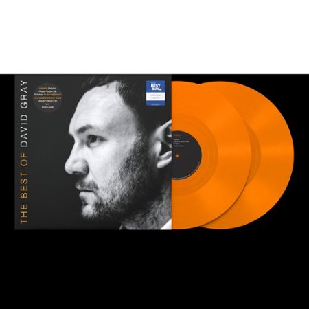 Best of David Gray [Double Orange Vinyl] [Only @ Best Buy] [LP] - VINYL