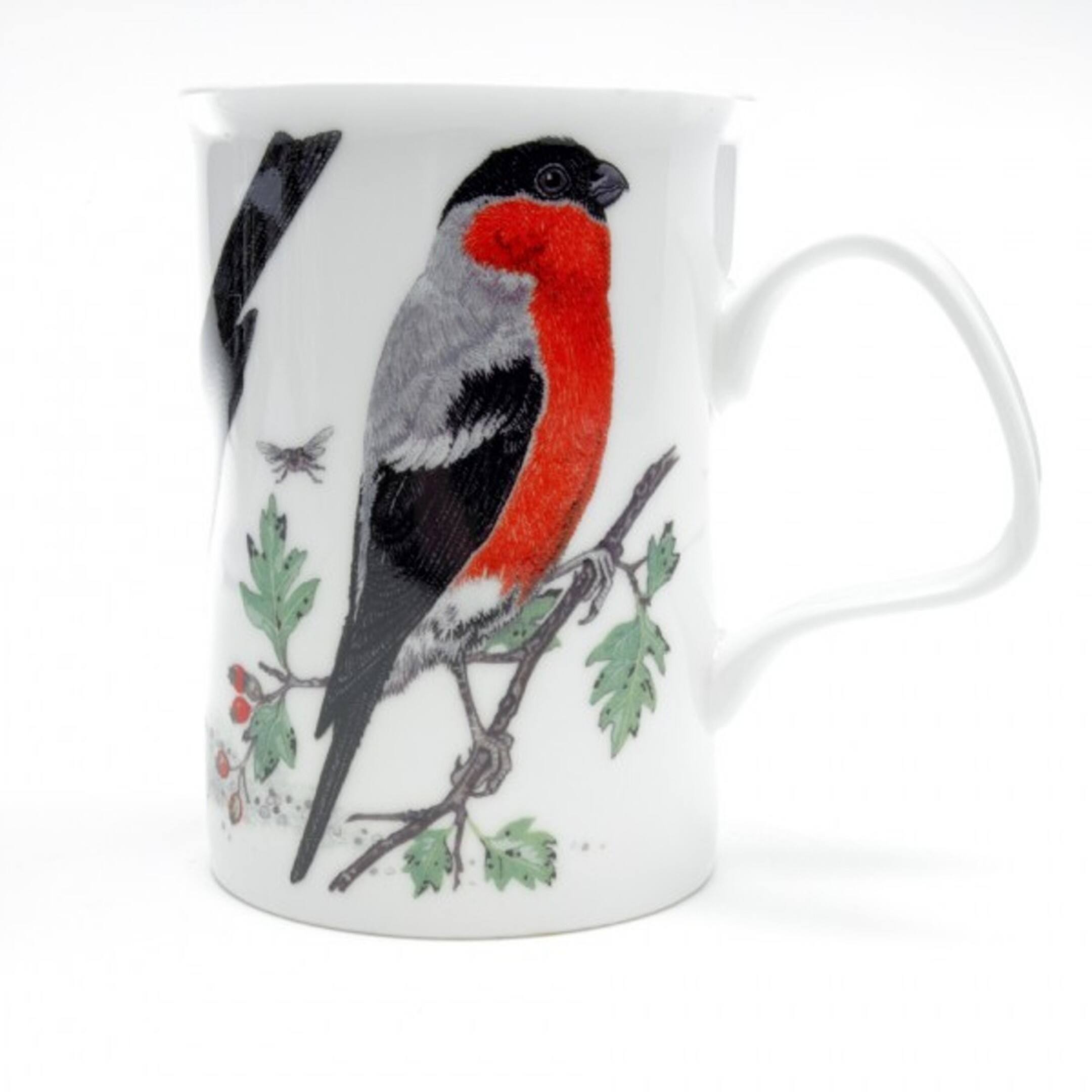 Angle. Jiallo - Roy Kirkham Lancaster Mug - Garden Birds Set of 6, Bone China Ceramic Made in England - Mutli color.