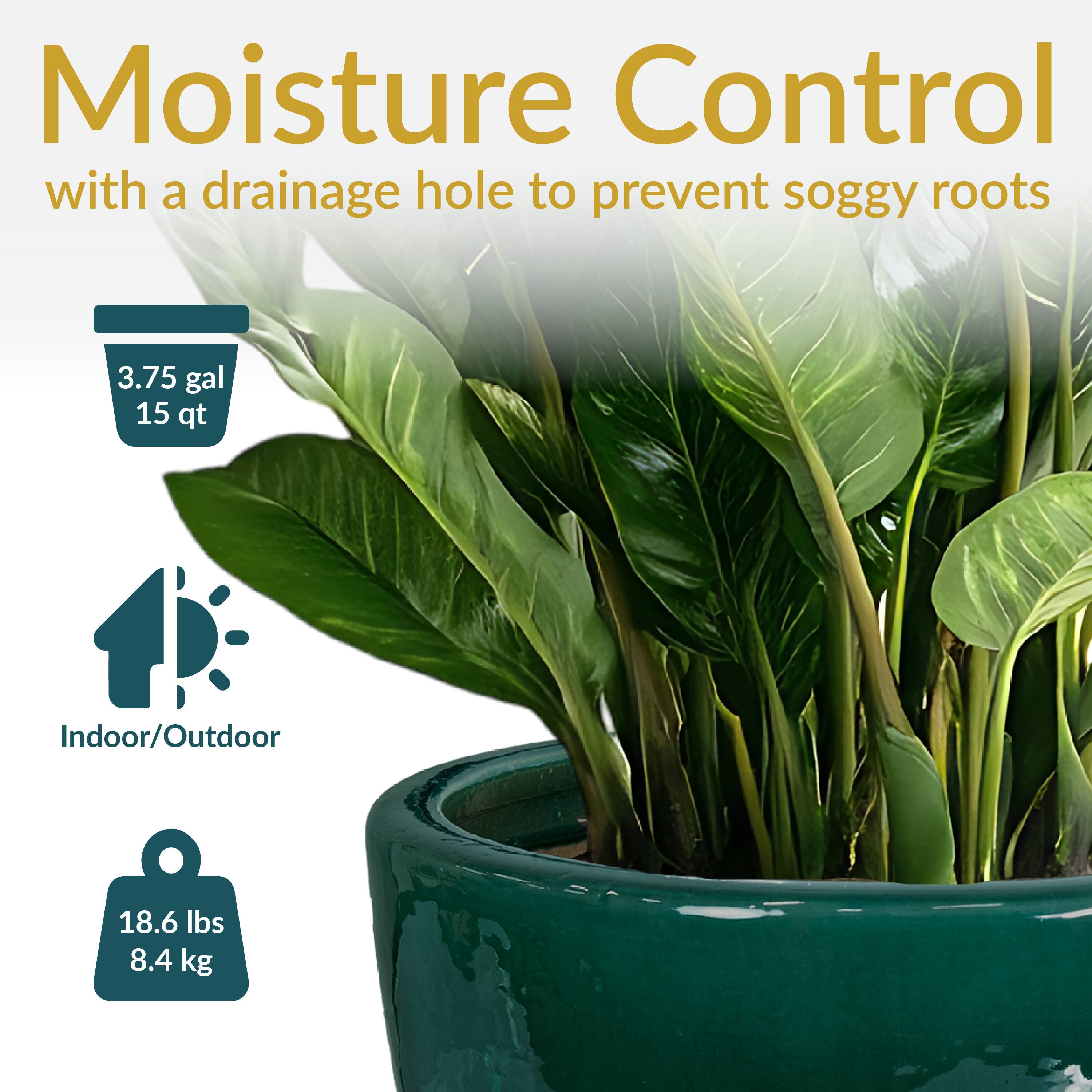 Moisture Control with a drainage hole to prevent soggy roots

3.75 gal 15 qt

Indoor/Outdoor

18.6 lbs 8.4 kg