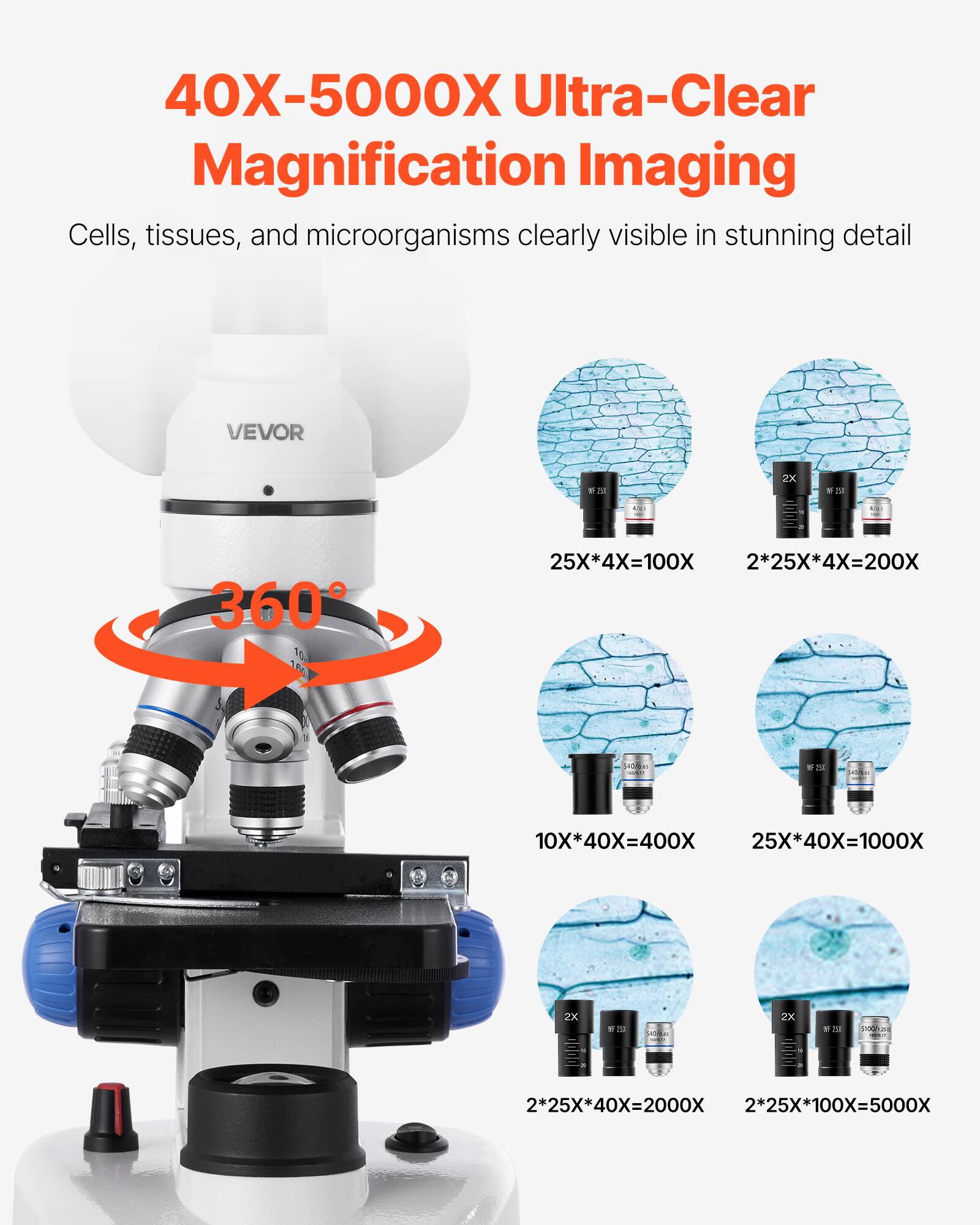 40X-5000X Ultra-Clear Magnification Imaging  
Cells, tissues, and microorganisms clearly visible in stunning detail  

VEVOR  

25X*4X=100X  
2*25X*4X=200X  
10X*40X=400X  
25X*40X=1000X  
2*25X*40X=2000X  
2*25X*100X=5000X
