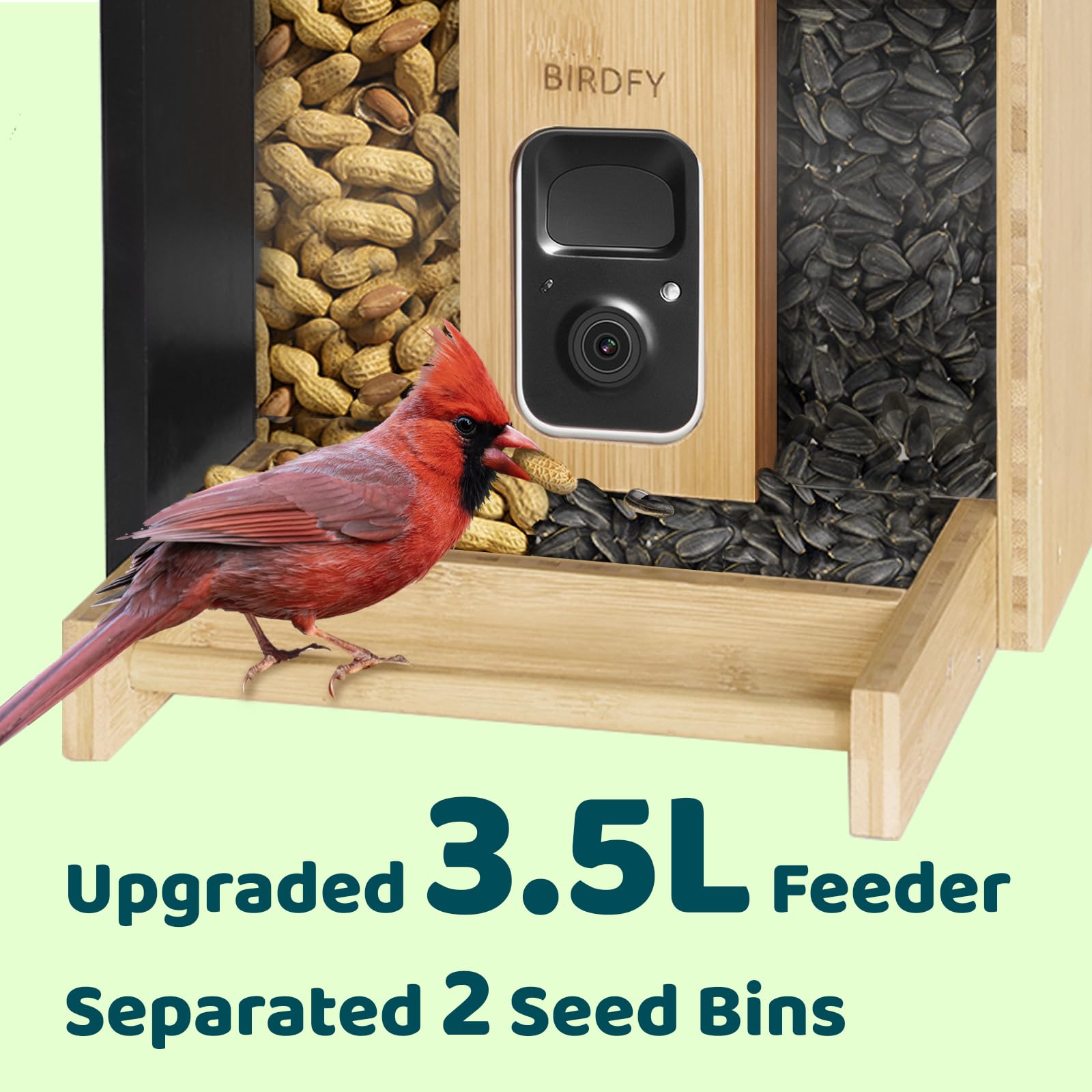 BIRDFY  
Upgraded 3.5L Feeder  
Separated 2 Seed Bins