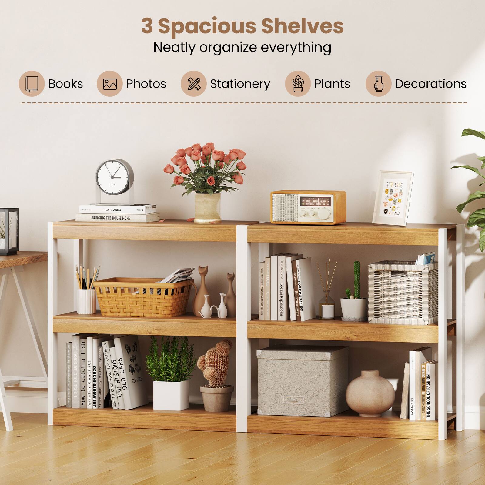 Books, Photos, Stationery, Plants, Decorations