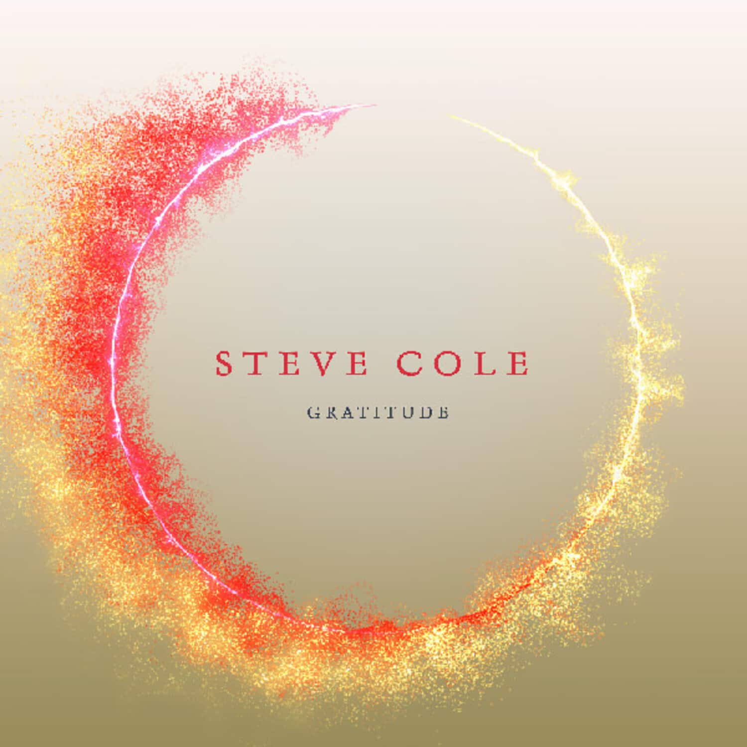 Steve Cole - Gratitude   - COMPACT DISCS [CD] price history on PriceWatchPro