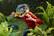 Alt View 4. Jurassic World - Rage 'N Roar Tyrannosaurus Rex Mask.
