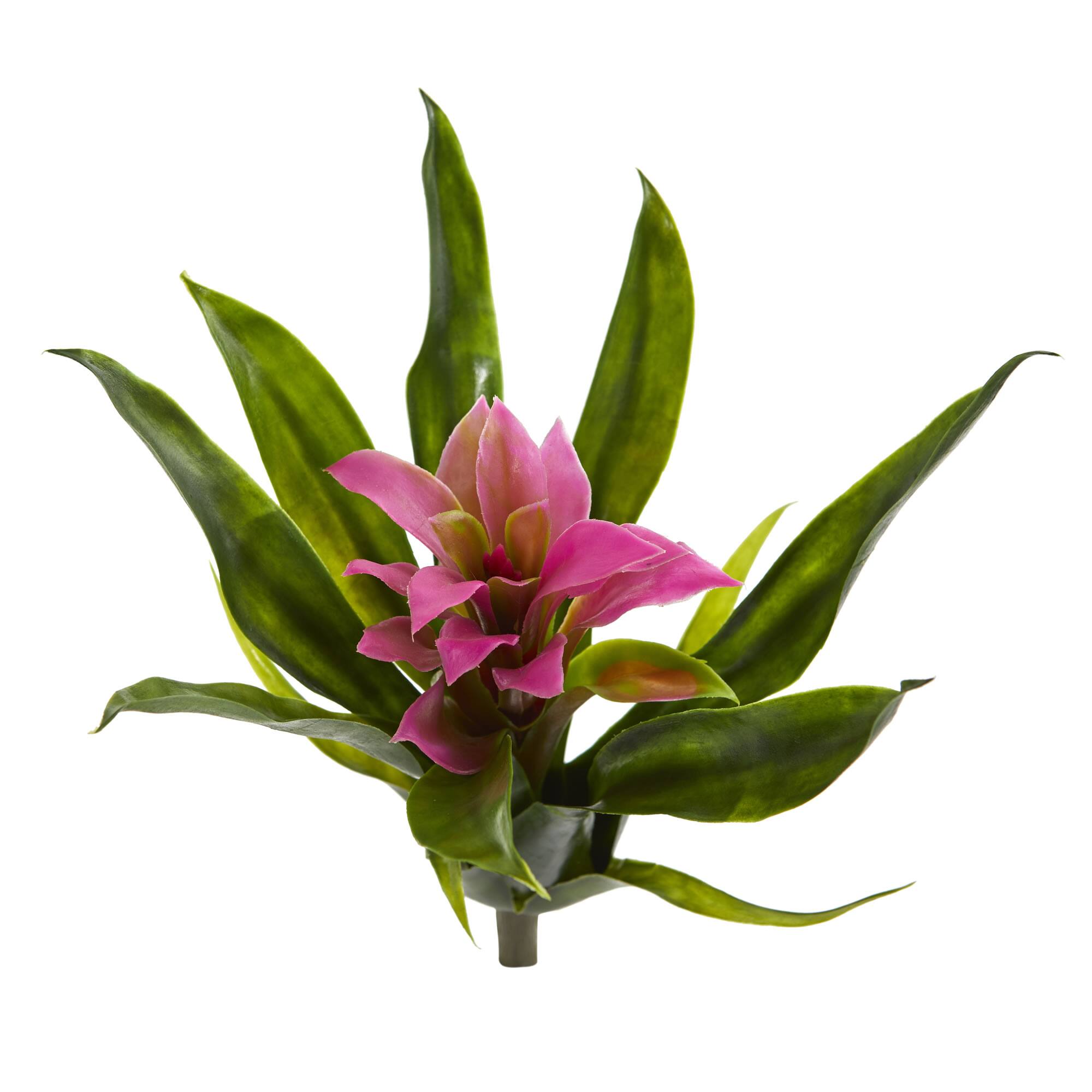 Angle. BreeBe - 10" Bromeliad Bush (Set of 6) - Purple.