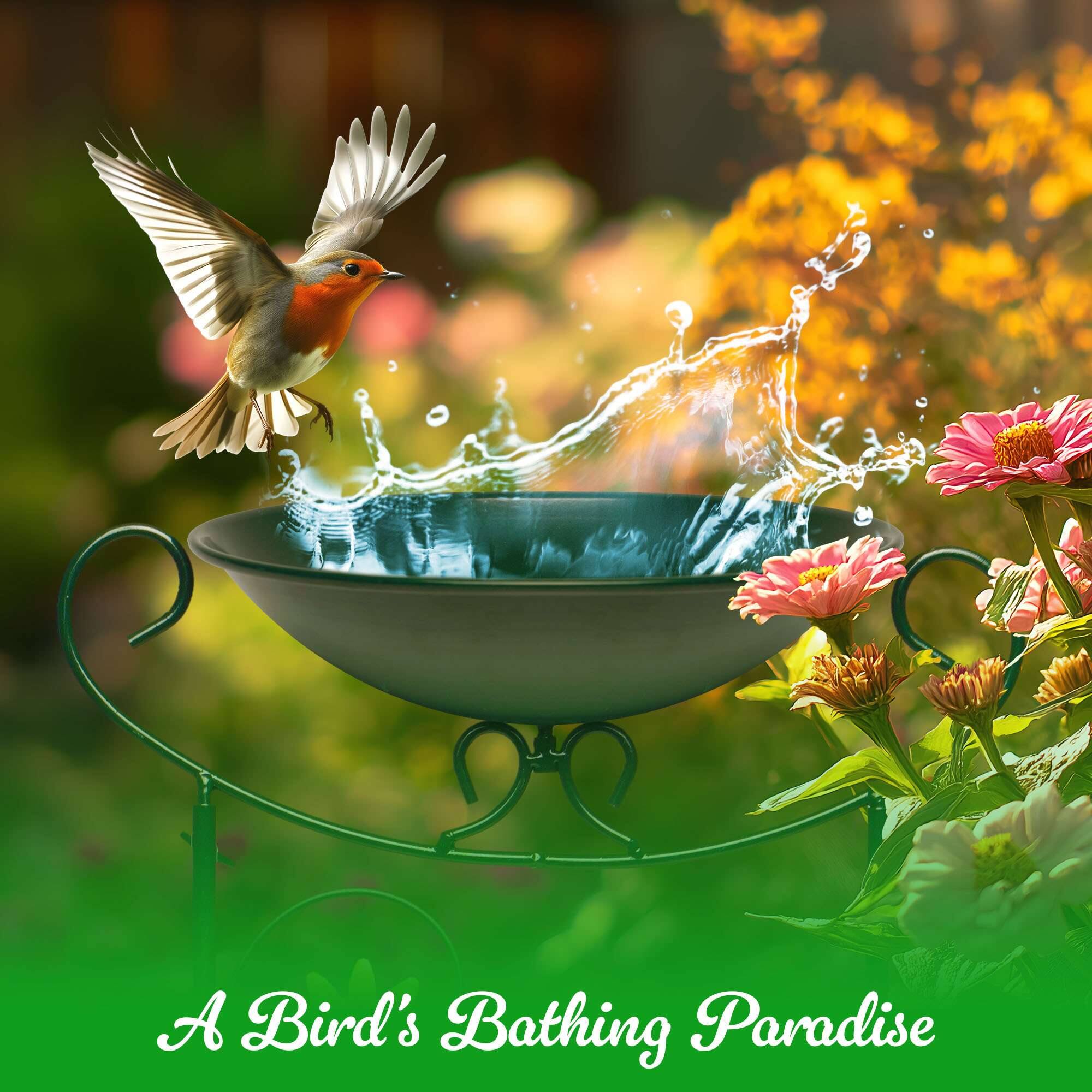 A Bird's Bathing Paradise