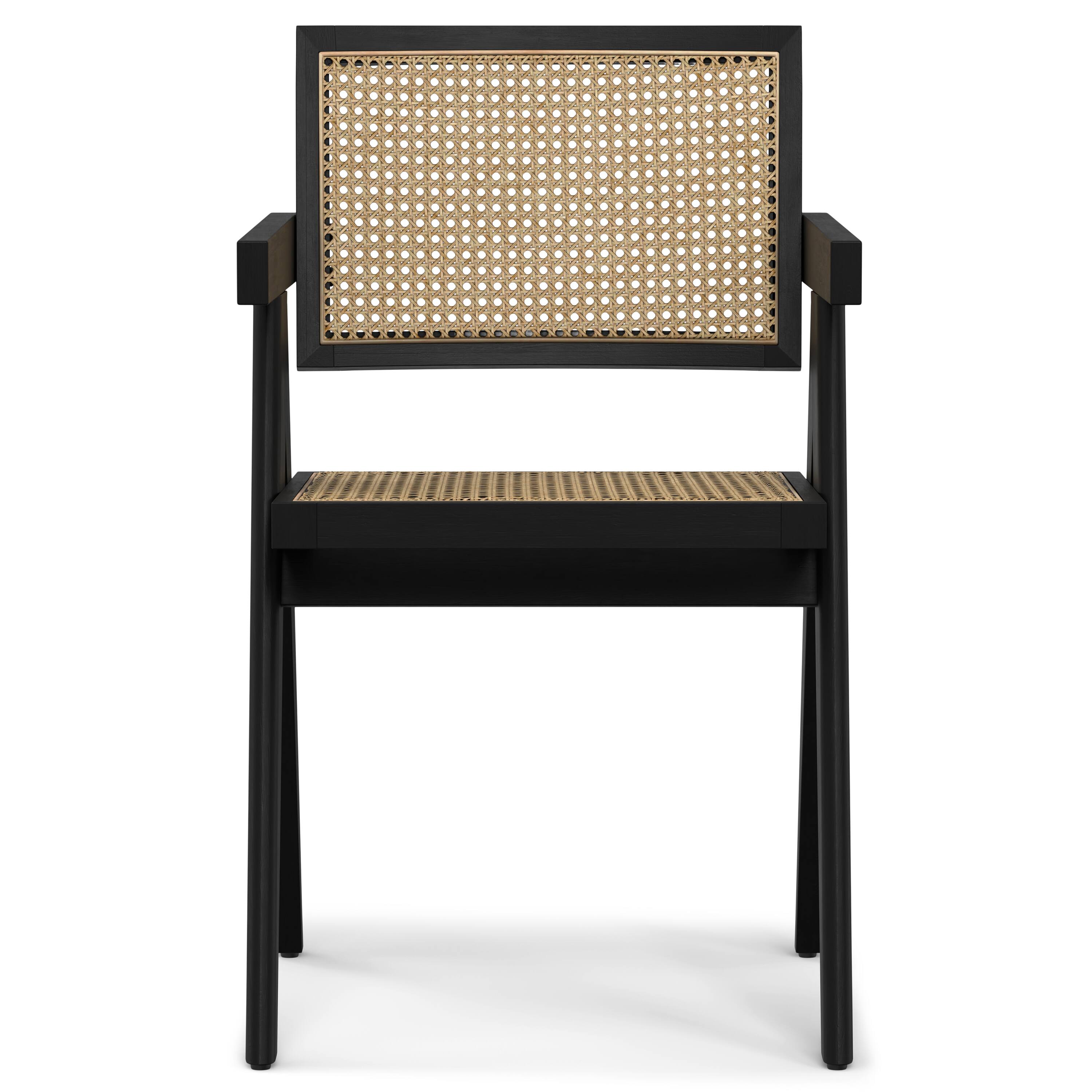 Left. Simpli Home - Regina Dining Armchair (Set of 2) in Black - Black.