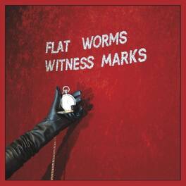 Flat Worms - Witness Marks - VINYL LP