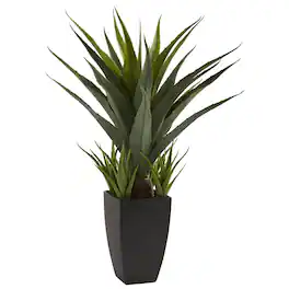 BreeBe - 30" Agave w/Black Planter - Green
