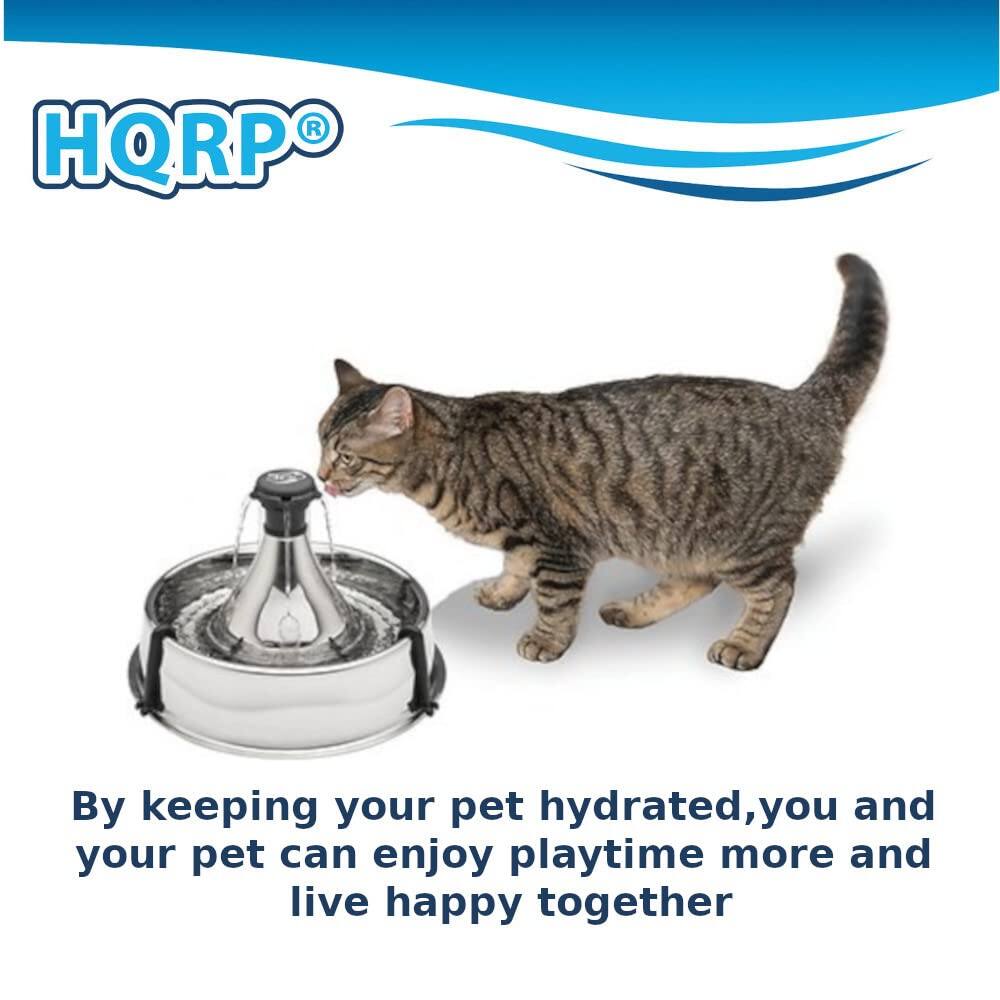 HQRP®

By keeping your pet hydrated, you and your pet can enjoy playtime more and live happy together