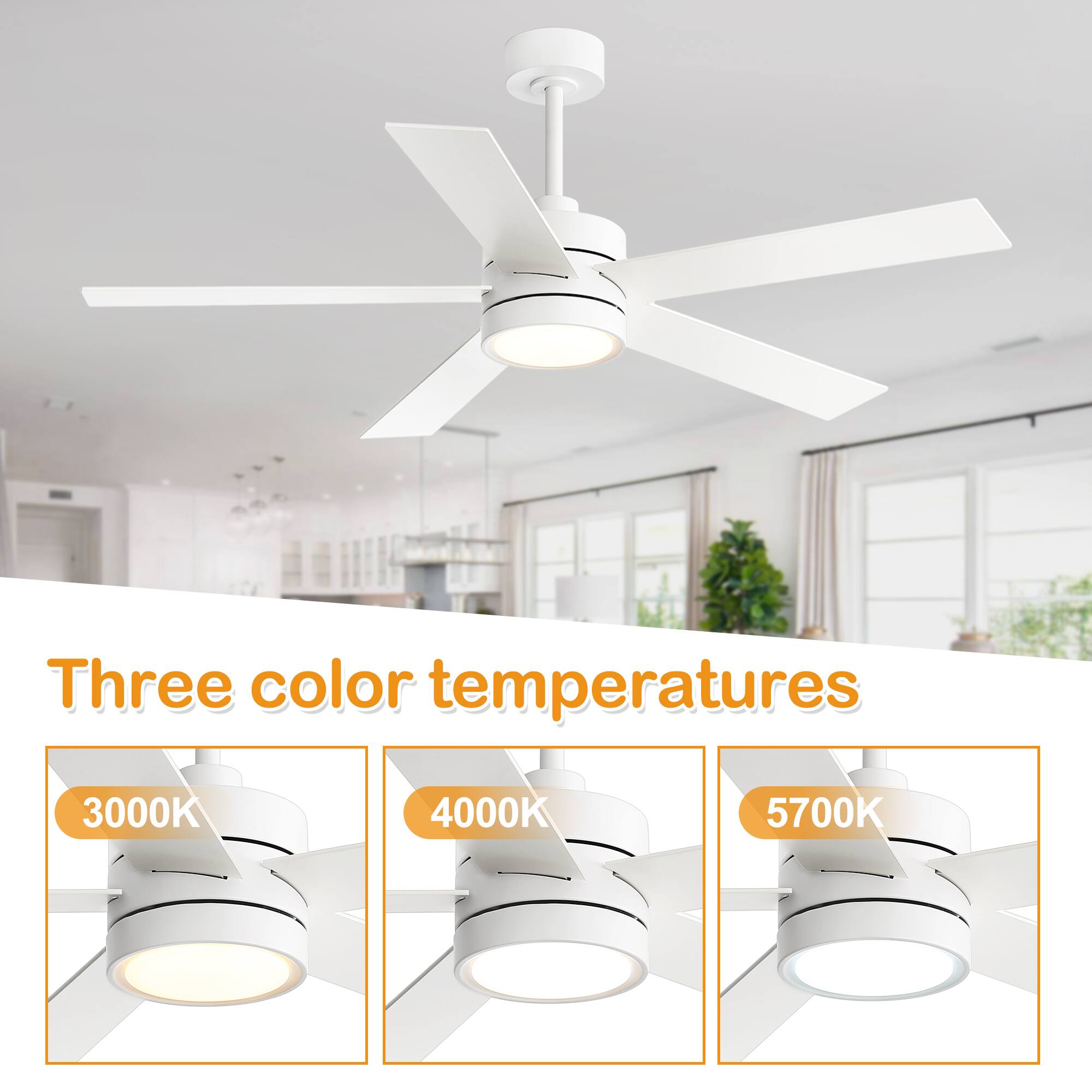 Three color temperatures

3000K

4000K

5700K