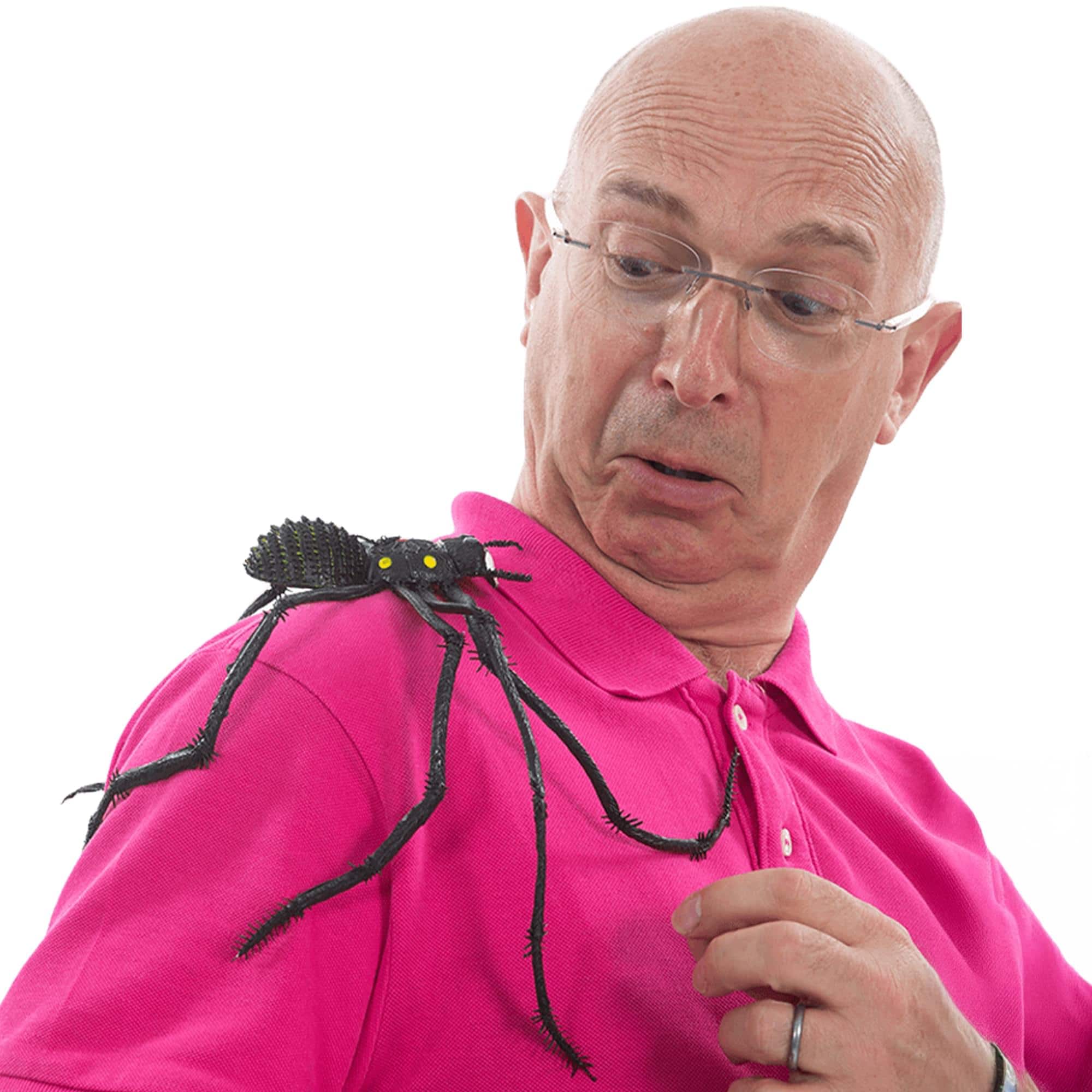 Smiffys - Creepy Spider Adult Costume - Black price history on PriceWatchPro