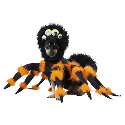 Front. California Costumes - Spider Pup Pet Costume | X-Small - Multi-Colored.