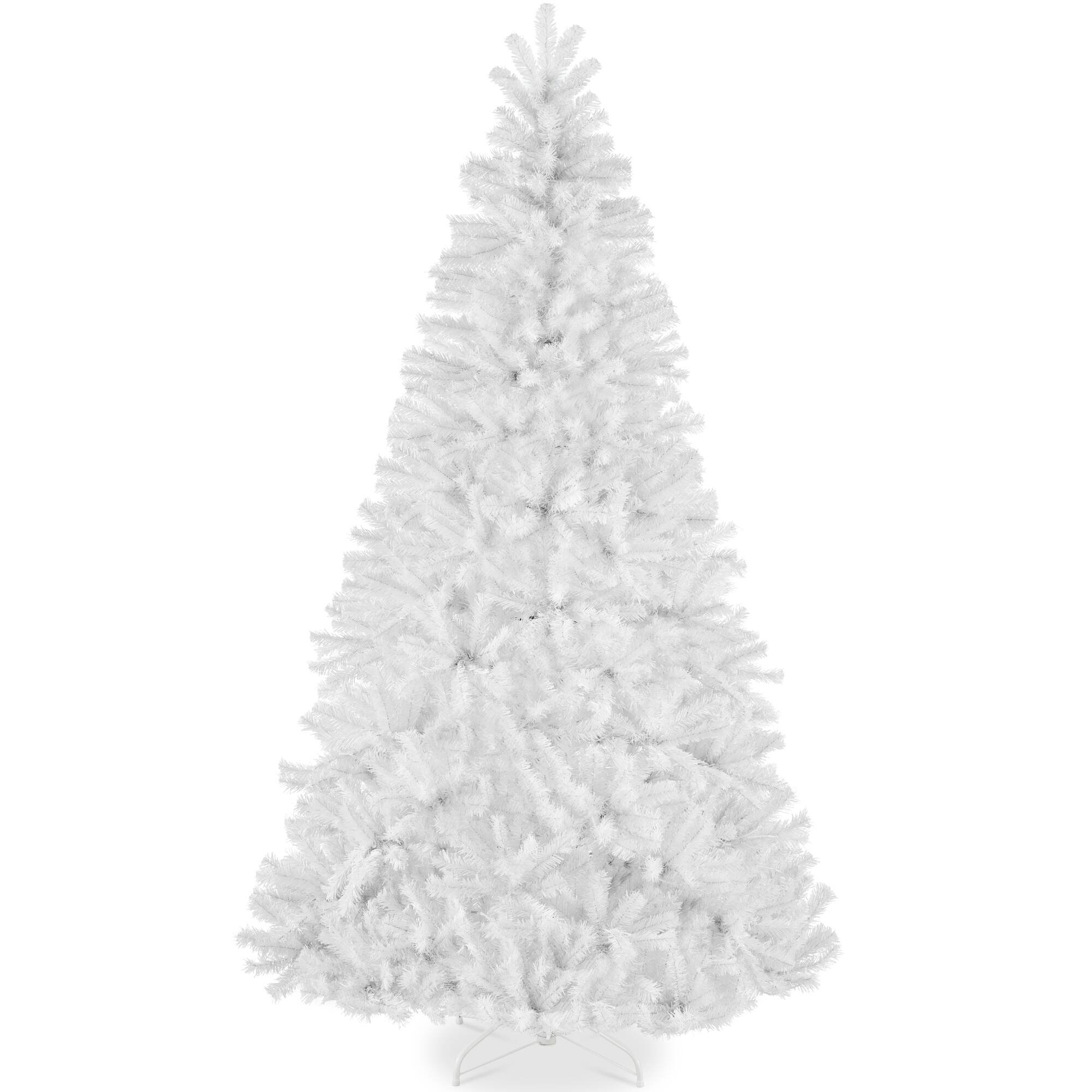 White Spruce