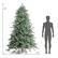The image shows a man standing next to a Christmas tree. The tree is described as being 8 feet tall, and the man is standing 5 feet away from it.