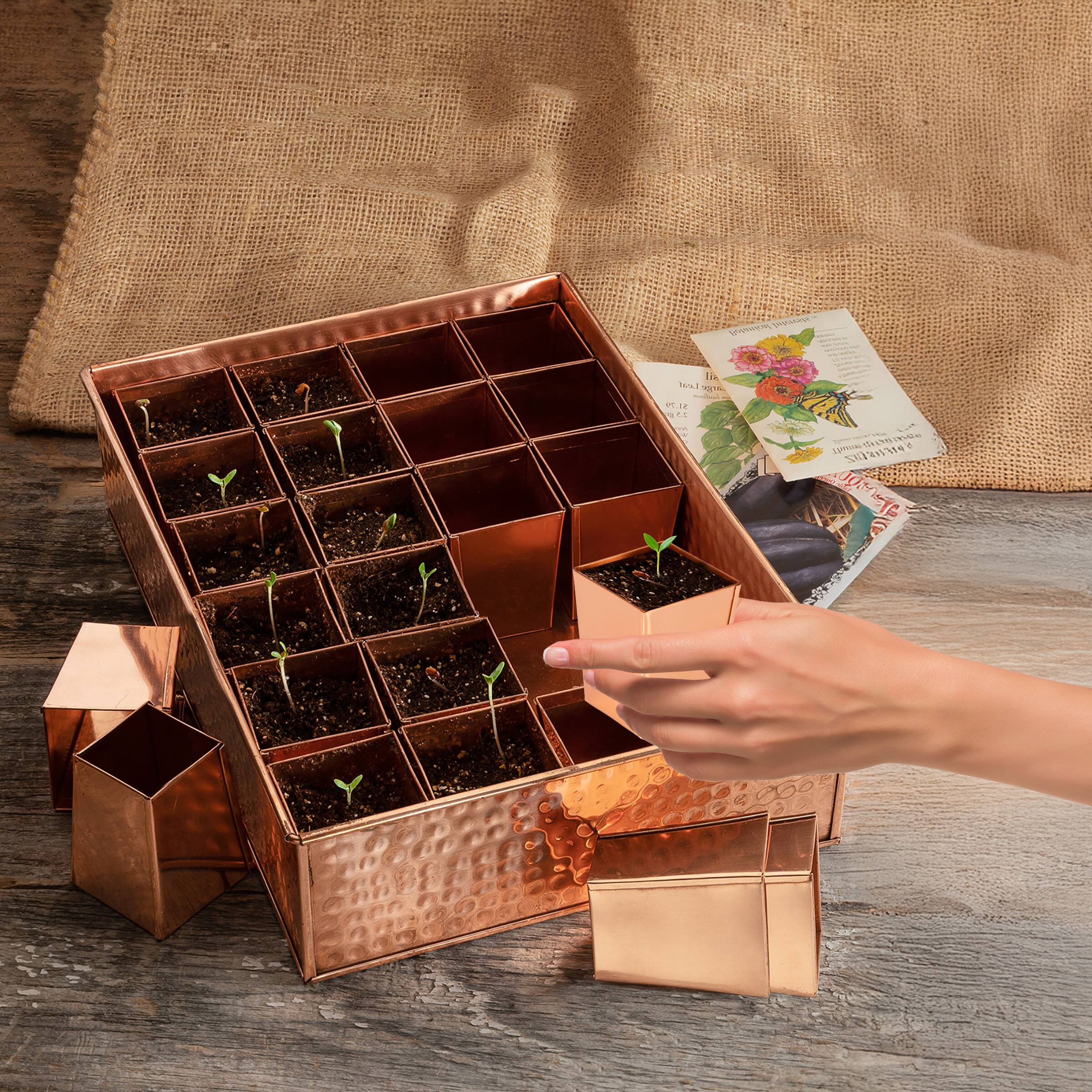 m V Ir Faat IS P - - 1 L mdv LUTTVNL 2038038 T TE 19