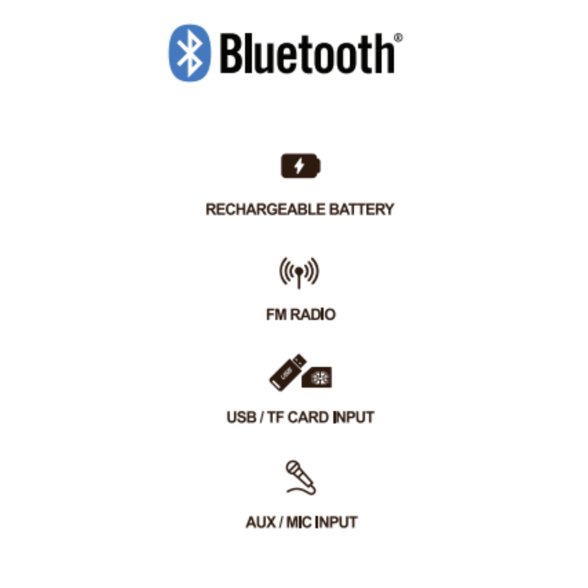 Bluetooth®

- RECHARGEABLE BATTERY
- FM RADIO
- USB / TF CARD INPUT
- AUX / MIC INPUT
