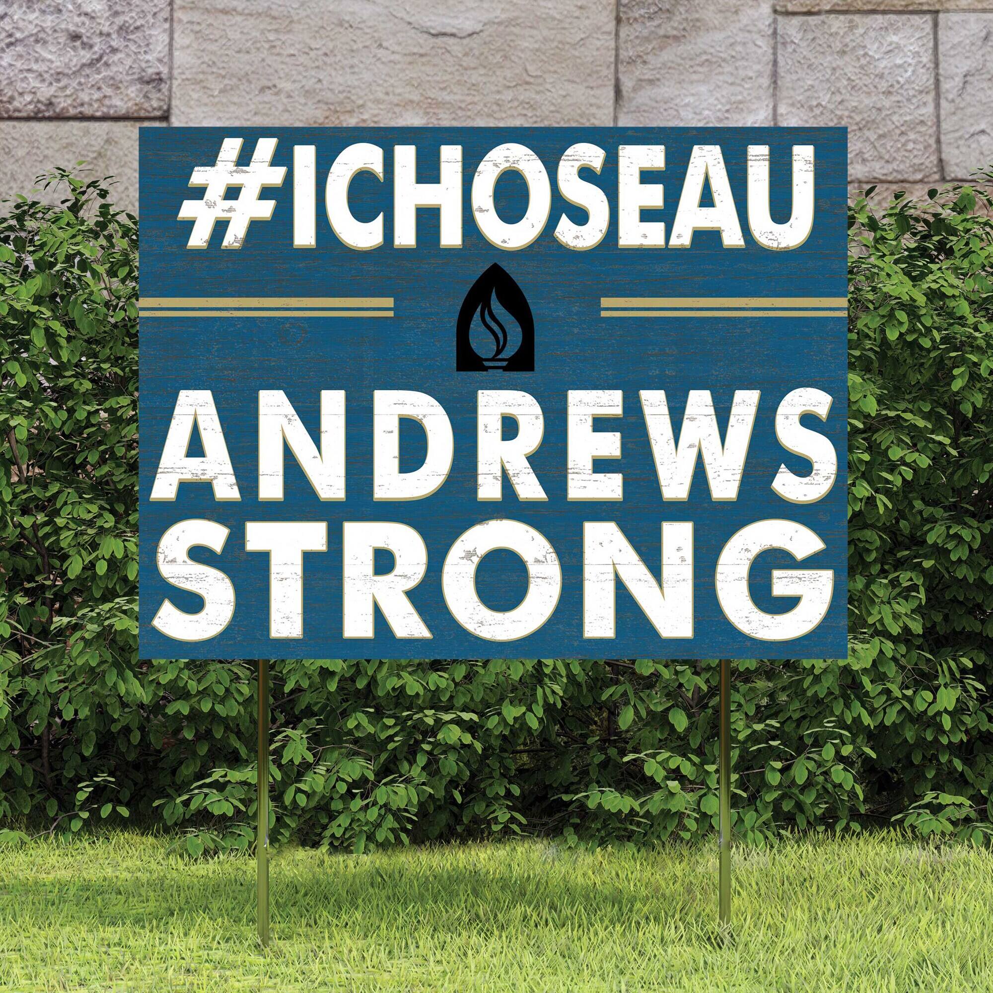 #ICHOOSEAU  
ANDREWS  
STRONG