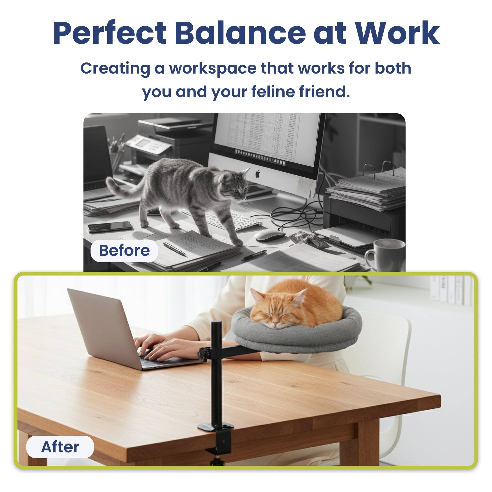 Perfect Balance at Work  
Creating a workspace that works for both you and your feline friend.  

Before  
After