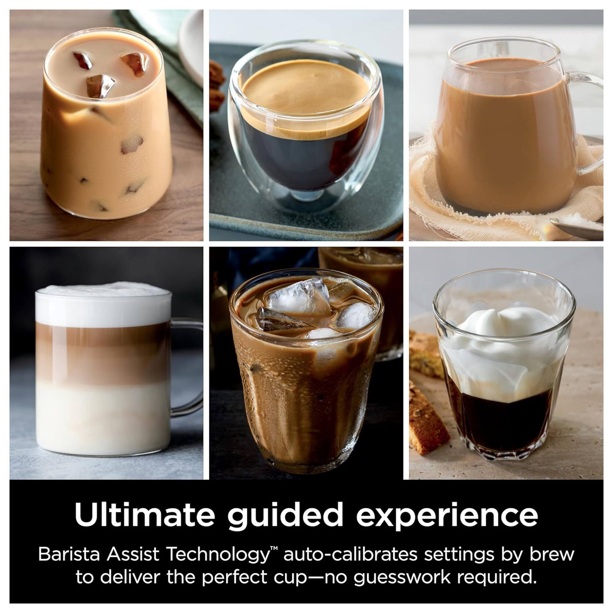 Ultimate guided experience

Barista Assist Technology™ auto-calibrates settings by brew to deliver the perfect cup—no guesswork required.