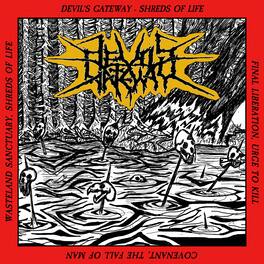 Devil's Gateway - Shreds Of Life - VINYL LP