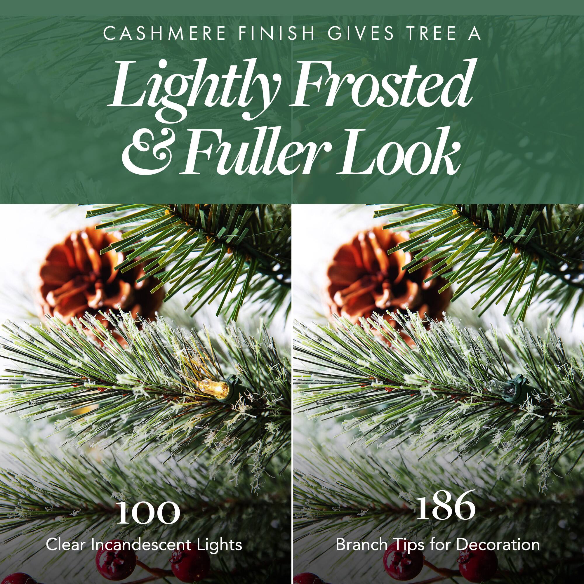 CASHMERE FINISH GIVES TREE A Lightly Frosted & Fuller Look

100 Clear Incandescent Lights

186 Branch Tips for Decoration