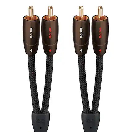 The text on the image reads "Big Sur Big Sur Big Sur Big Sur."