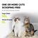 ONE OR MORE CATS SCOOPING-FREE
For all-sized cats and multi-cat owners.
Huge Globe
60L
Waste Drawer
6L
F JABULOUS