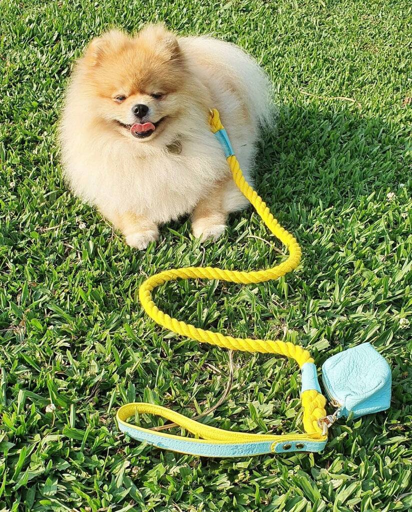 Left. PoisePup - PoisePup Pet Dog Waste Bag Holder - Teal | Yellow.