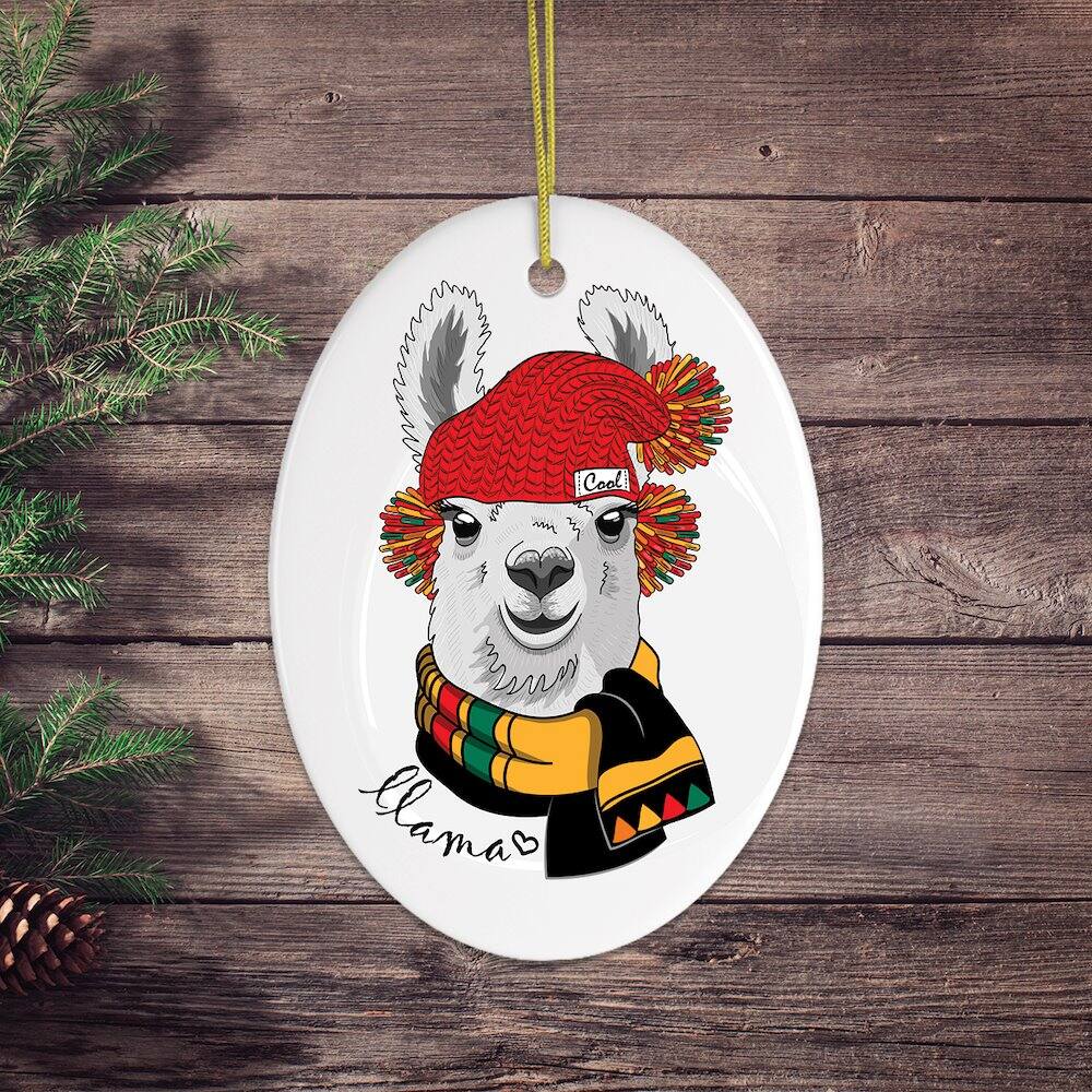 Cool llama