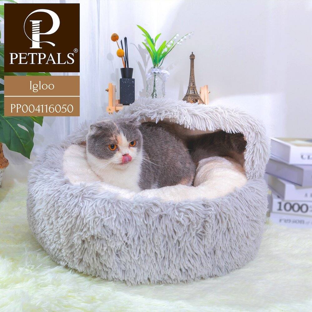 PETPALS  
Igloo  
PP004116050