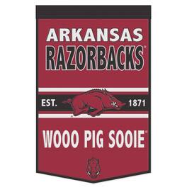 WinCraft - Arkansas Razorbacks 24" x 38" Primary Logo Banner - Multicolor