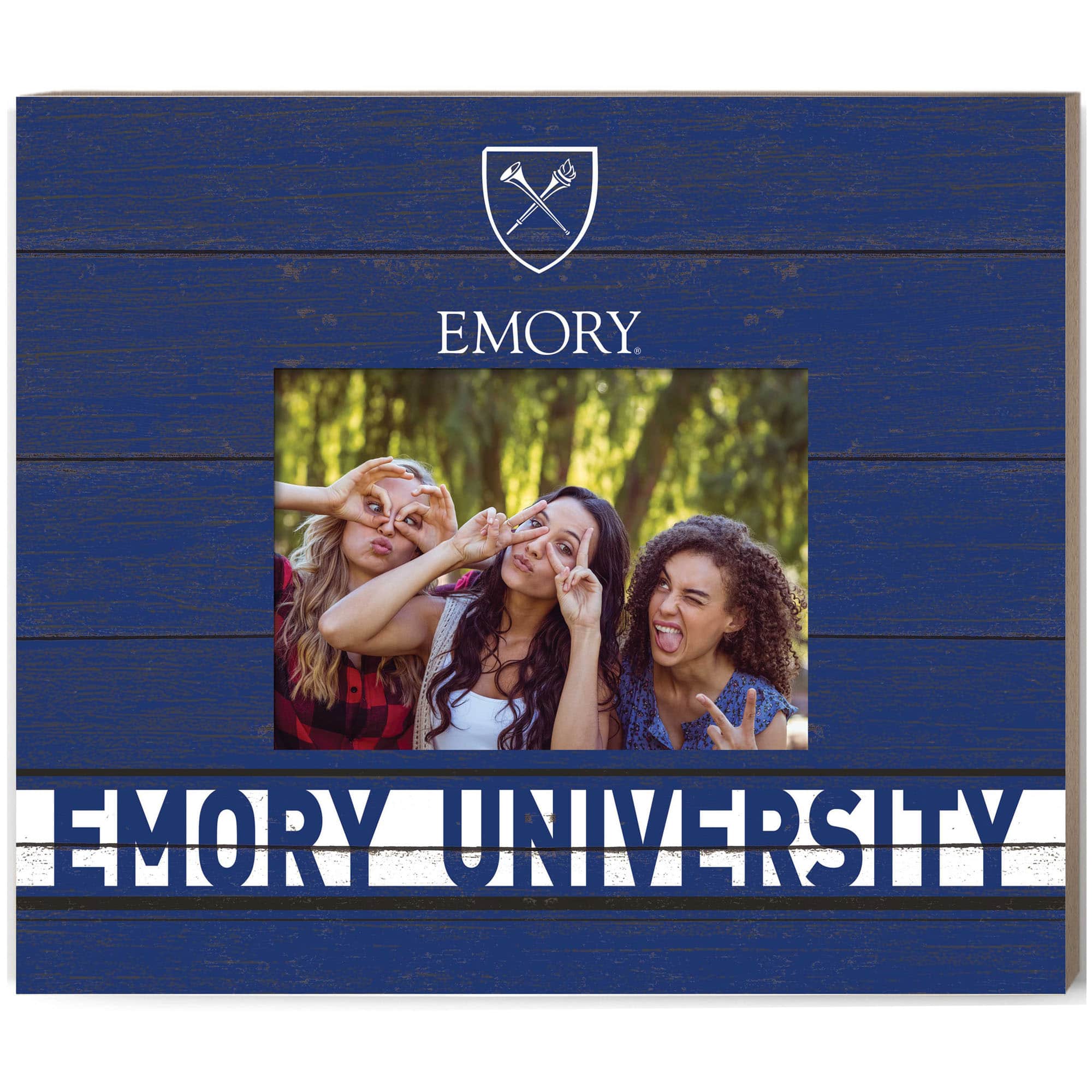 Jardine - Emory Eagles 11'' x 13'' Team Spirit Scholastic Picture Frame - Navy price history on PriceWatchPro