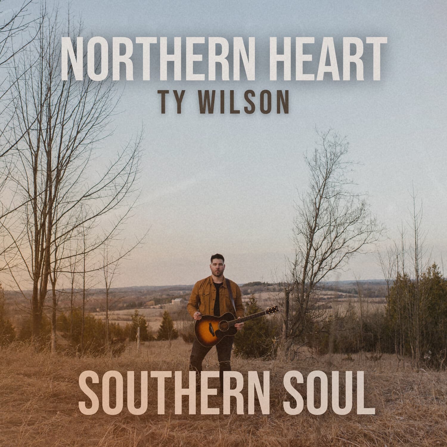Ty Wilson - Northern Heart, Southern Soul   - COMPACT DISCS [CD] price history on PriceWatchPro