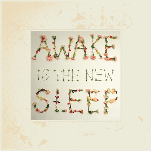 Ben Lee - Awake Is the New Sleep   - VINYL LP price history on PriceWatchPro