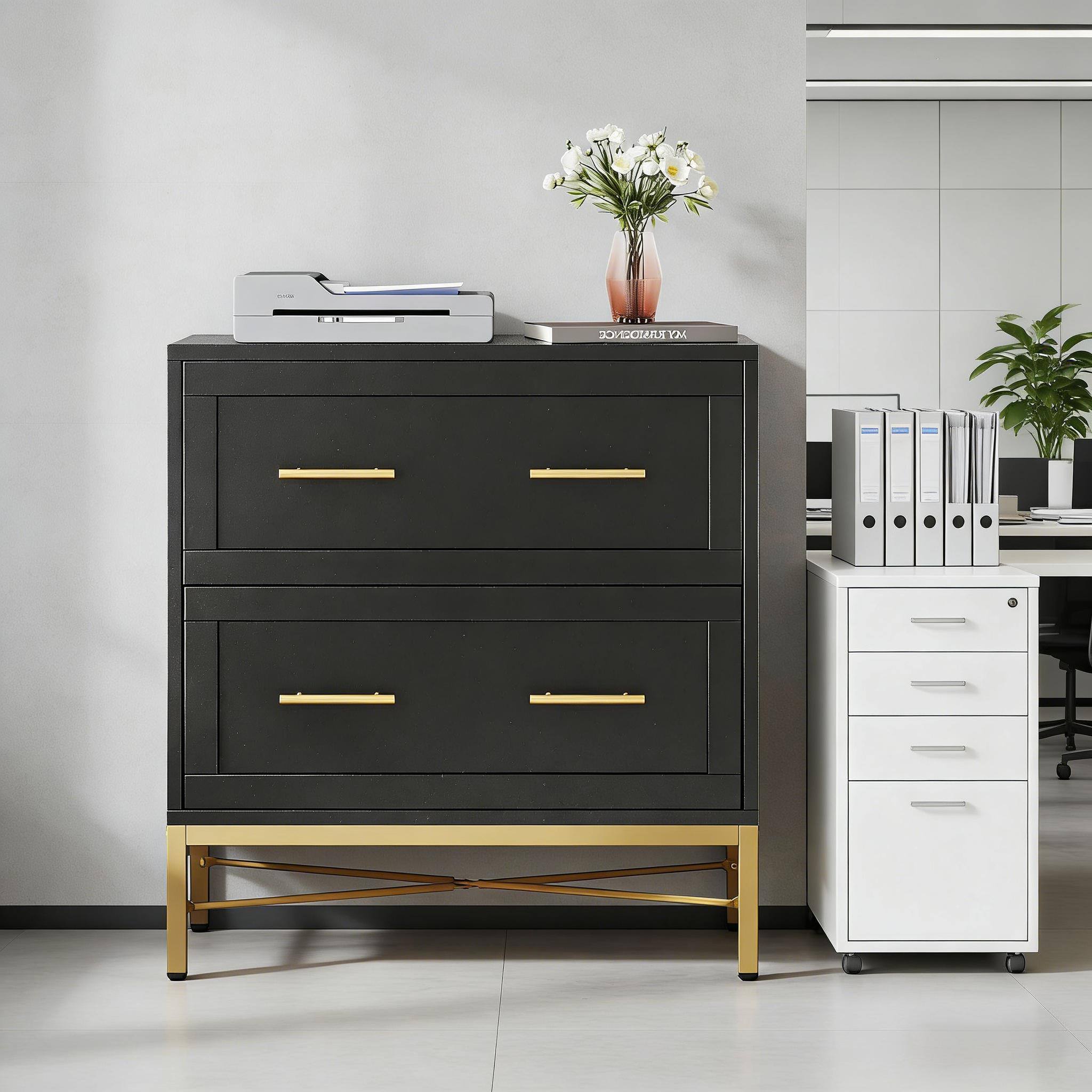 Alt View 1. Forest'nSky - Sleek File Storage Cabinet - Durable Metal Office Organizer with Locking Drawers,Black.