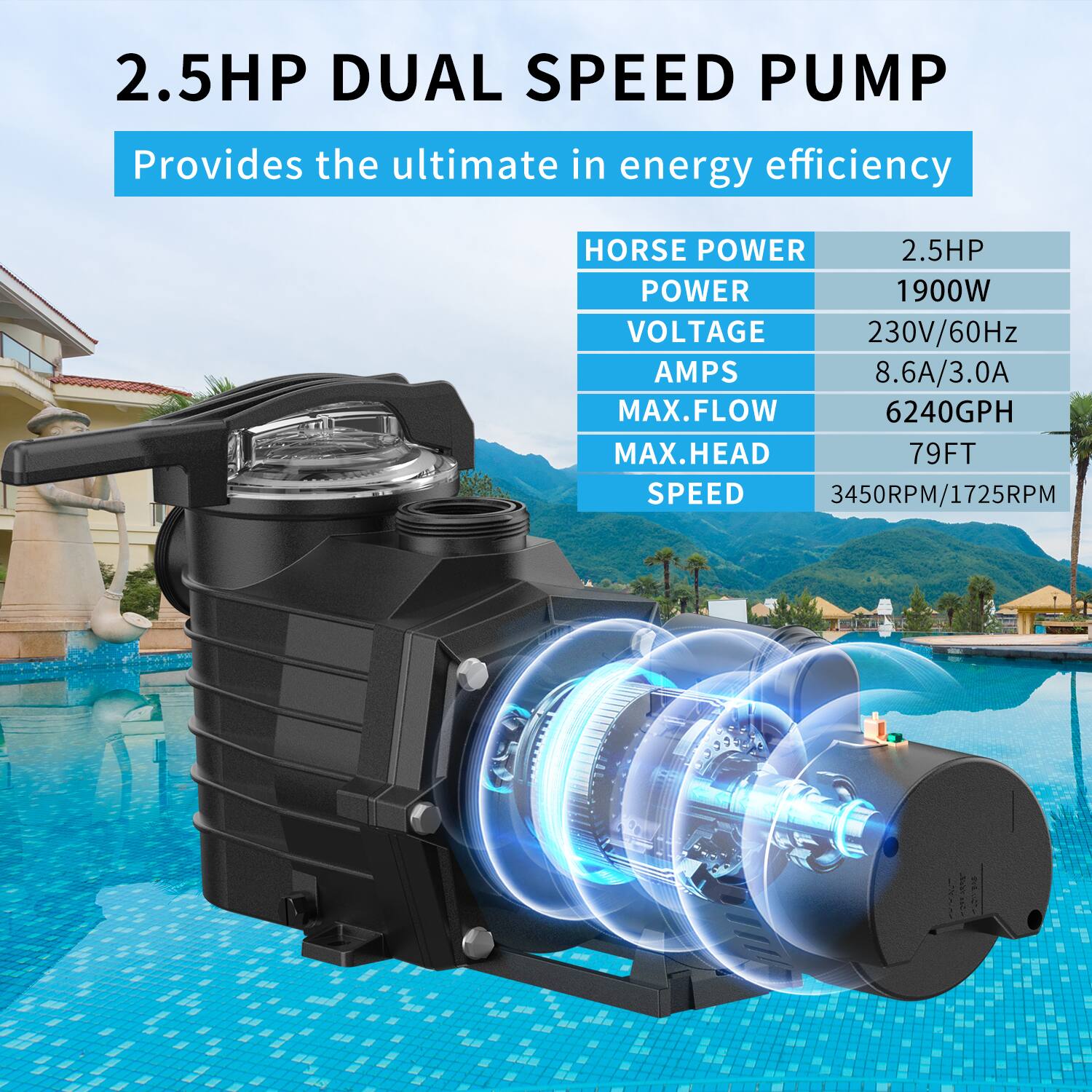2.5HP DUAL SPEED PUMP  
Provides the ultimate in energy efficiency  

HORSE POWER  
2.5HP  

POWER  
1900W  

VOLTAGE  
230V/60Hz  

AMPS  
8.6A/3.0A  

MAX.FLOW  
6240GPH  

MAX.HEAD  
79FT  

SPEED  
3450RPM/1725RPM